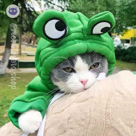 Frog Hoodie for Cats  - Cozy, Cute, and Stylish