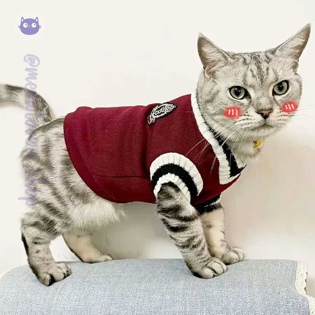 Warm Winter Cat Sweater - Cozy Pullover for Cats